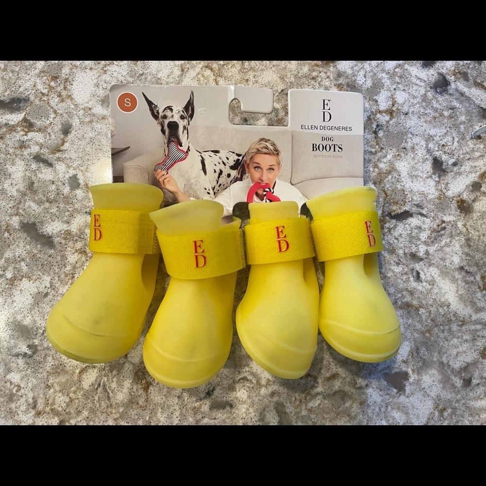 ellen degeneres Pet dog boots